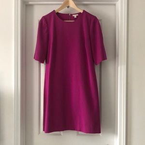 Gap Shift Dress (Magenta)